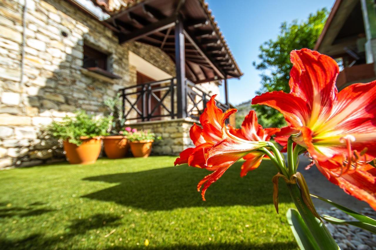 Lefkara Villa Kato Lefkara المظهر الخارجي الصورة